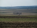 Obraz 186